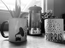 Burris Gramophone Mug