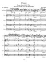 Bloch Prayer for Solo Cello and Cello Ensemble