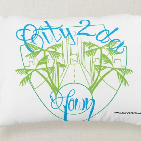 C2DT Pillow