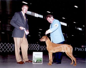 Winners Dog puppy group 3, 9 pts. BOB over specials !
