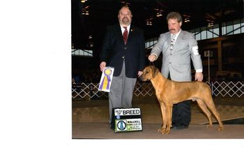 2 BOB 9 -12 mos !
