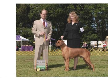 Big win ! # 16 all breed ! . Thyroid Normal DM Carrier, Cardiac Clear, Hips good, elbows Normal !
