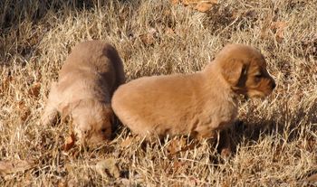 "First Outing" With cold weather it's hard to find a day nice enough to go outside.
