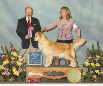 Nessie winning major BOS under breeder/judge Jon Chase
