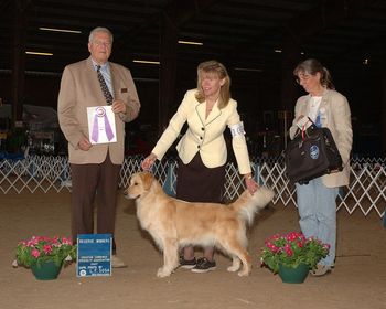 Ch Benden's Two Deep Too Find RWB Houstone GRC under Howard Falberg
