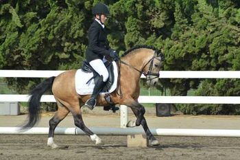 Rocko's Gold.  Cass's grandsire
