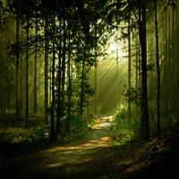Rise Again (Mellow Instrumental Version) by Ronnie Glass
