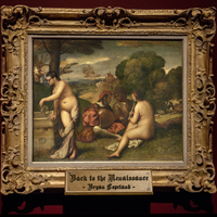 Back to the Renaissance by Bryan Copeland