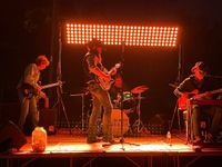 Chad Borgen and The Collective