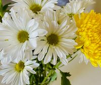 Contemplative Practices from the Jewish Tradition: Passover