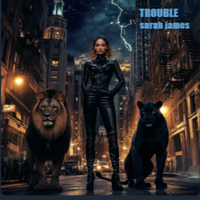 Trouble by Sarah James