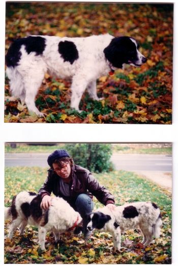 Kippy and Molly This was Molly's last day with me. She was my first doggie. Much love

