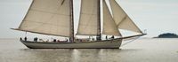 Castlebay Musical Sailings