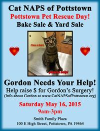 Pottstown Pet Rescue Day!