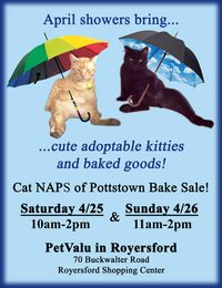 Bake Sale and Adoptable Kitties!