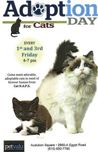 Adoption Day at PetValu!