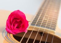 Dwight Phetteplace Award Winning Guitarist, Singer, and Officiant