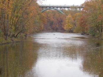 Cuyahoga Valley from below the bridge
