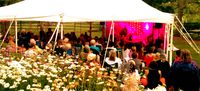 Kirtan Fest Milwaukee
