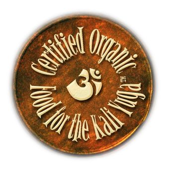 Our emblem for all our kirtan CDs The "good for you" music! Find your peace. Find your place. Find your center.
