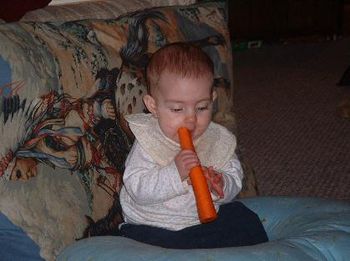 raven with carrot
