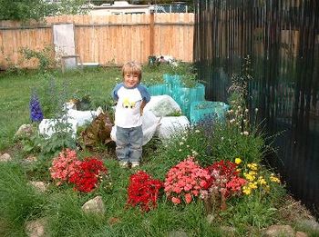 gavin's garden
