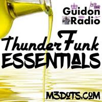 Interview with Mr. Thunderfunk by Matt Ellipsis
