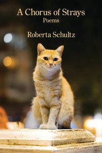 Book Launch Party for A CHORUS OF STRAYS by Roberta Schultz
