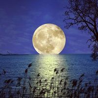 Tennessee Golden Moon by Gene Travis
