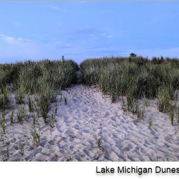 Set of 4 Notecards - "Lake Michigan Dunes"