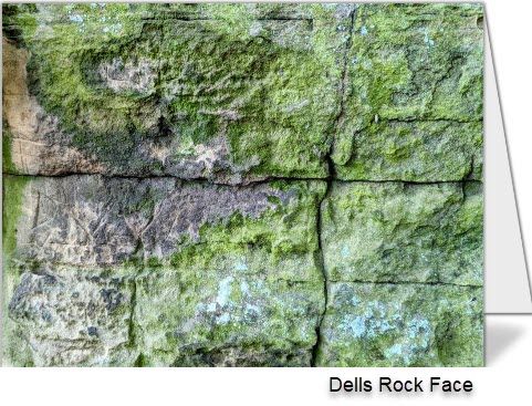 Set of 2 Notecards - "Dells Rock Face"