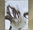 KEMPER ARCANE POSTER