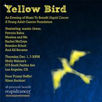 YELLOW BIRD: An Evening of Music to Benefit www.stupidcancer.com