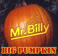 Mr. Billy