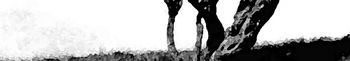 Lymetree_Vibedeck_Banner

