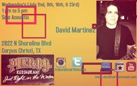David Martinez Solo Acoustic