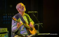Ronan Guilfoyle's Bemusement Arcade - Album Tour!