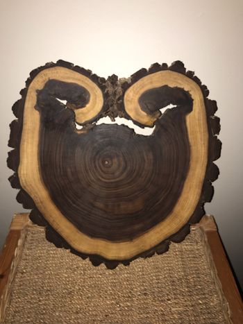 Cheese Plate / Charcuterie Board (Black Walnut)
