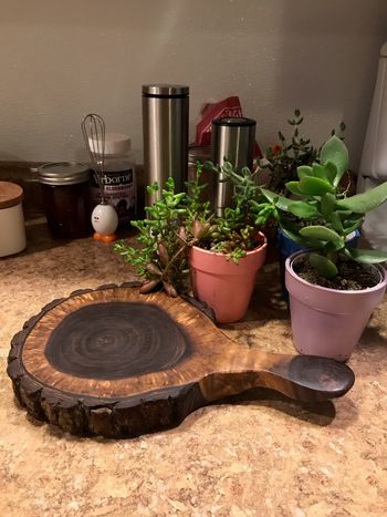 Black Walnut Trivet

