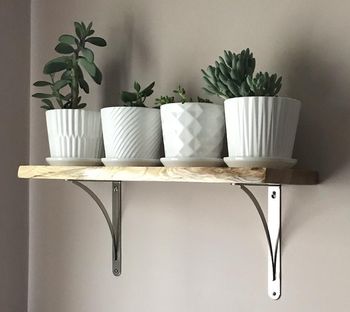 Live Edge Shelf (Ash)

