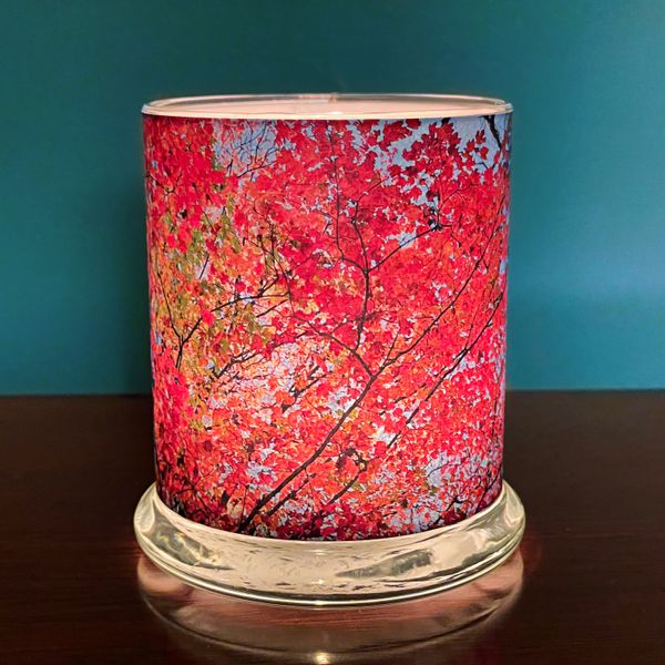 Canopy 2 Luminary