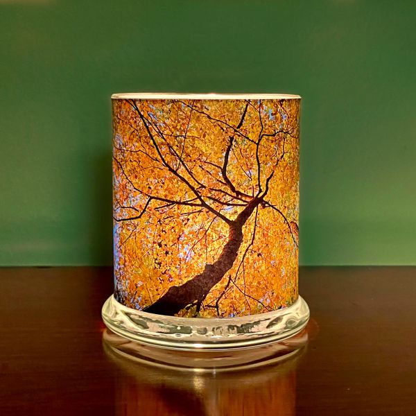 Canopy 1 Luminary