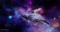 Whaledreamers
