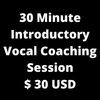 30 Minute Introductory Vocal Coaching Session