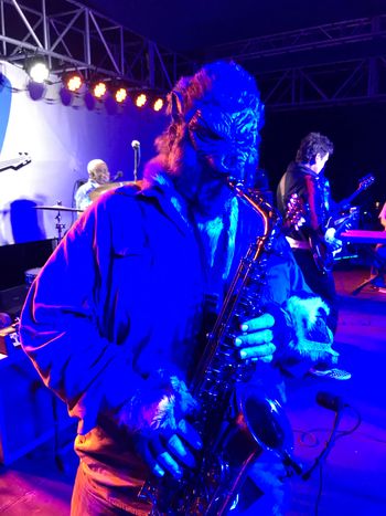 Halloween night on the Blues Cruise
