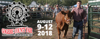 Big D & Friends @ the Gogebic County Fair