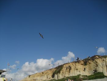 Freedom

