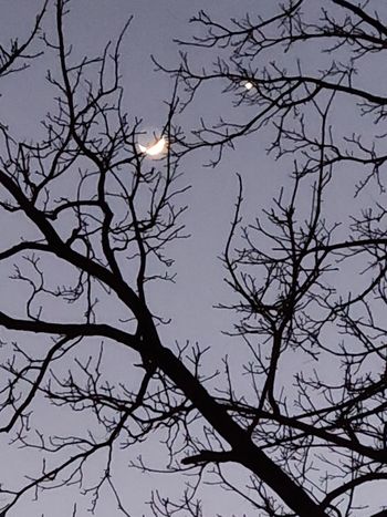 Moon and the morning star
