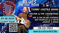 Blues on the Mesa