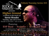 Higher Ground - Stevie Wonder Tribute